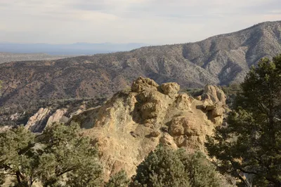 DSC_6252 (Large).JPG